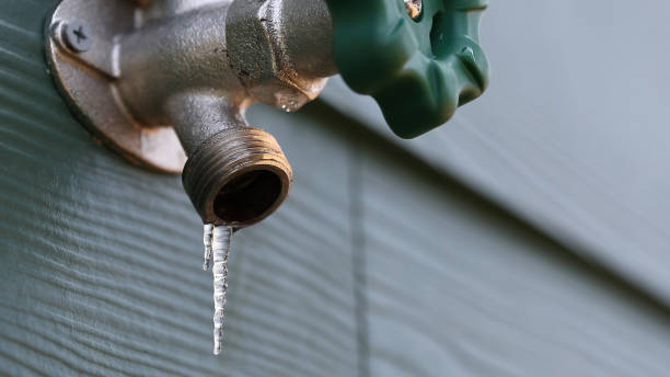 Best Plumbing Inspection Services  in Center, TX